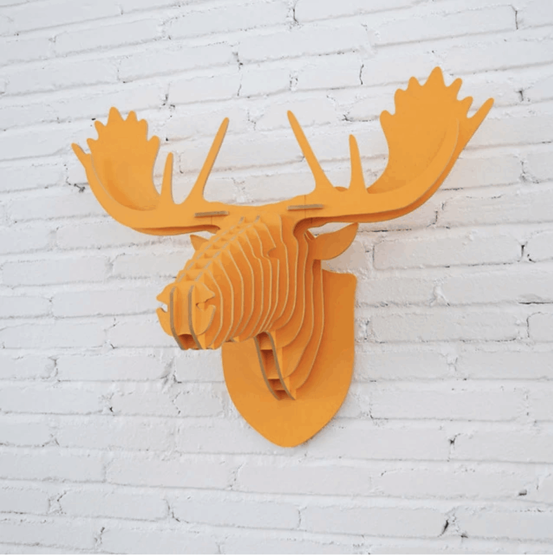 HealthTech Moose