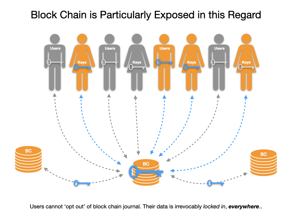 Blockchain Privacy Tragedy